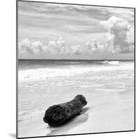 ¡Viva Mexico! Square Collection - Tree Trunk on a Caribbean Beach II-Philippe Hugonnard-Mounted Photographic Print
