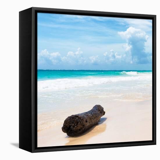 ¡Viva Mexico! Square Collection - Tree Trunk on a Caribbean Beach-Philippe Hugonnard-Framed Stretched Canvas