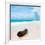 ¡Viva Mexico! Square Collection - Tree Trunk on a Caribbean Beach-Philippe Hugonnard-Framed Photographic Print