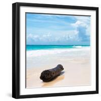 ¡Viva Mexico! Square Collection - Tree Trunk on a Caribbean Beach-Philippe Hugonnard-Framed Photographic Print