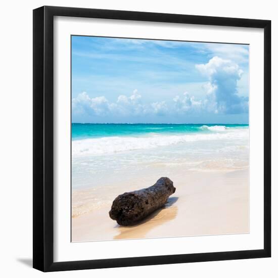¡Viva Mexico! Square Collection - Tree Trunk on a Caribbean Beach-Philippe Hugonnard-Framed Photographic Print