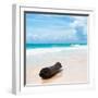 ¡Viva Mexico! Square Collection - Tree Trunk on a Caribbean Beach-Philippe Hugonnard-Framed Photographic Print