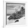 ¡Viva Mexico! Square Collection - Tulum Caribbean Coastline IV-Philippe Hugonnard-Framed Photographic Print