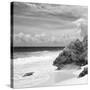 ?Viva Mexico! Square Collection - Tulum Caribbean Coastline VI-Philippe Hugonnard-Stretched Canvas