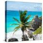 ¡Viva Mexico! Square Collection - Tulum Caribbean Coastline X-Philippe Hugonnard-Stretched Canvas