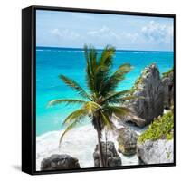 ¡Viva Mexico! Square Collection - Tulum Caribbean Coastline X-Philippe Hugonnard-Framed Stretched Canvas