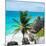 ¡Viva Mexico! Square Collection - Tulum Caribbean Coastline X-Philippe Hugonnard-Mounted Photographic Print
