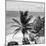 ¡Viva Mexico! Square Collection - Tulum Caribbean Coastline XI-Philippe Hugonnard-Mounted Photographic Print