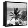 ¡Viva Mexico! Square Collection - Tulum Caribbean Coastline XI-Philippe Hugonnard-Framed Stretched Canvas