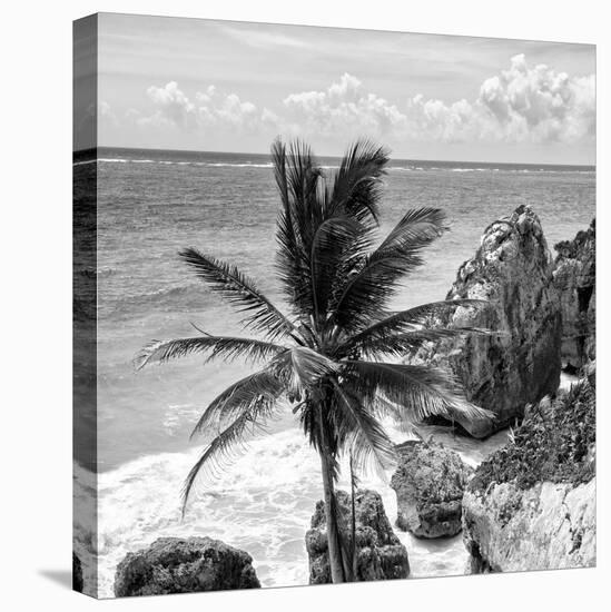 ¡Viva Mexico! Square Collection - Tulum Caribbean Coastline XI-Philippe Hugonnard-Stretched Canvas