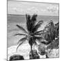 ¡Viva Mexico! Square Collection - Tulum Caribbean Coastline XI-Philippe Hugonnard-Mounted Photographic Print