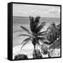 ¡Viva Mexico! Square Collection - Tulum Caribbean Coastline XI-Philippe Hugonnard-Framed Stretched Canvas