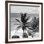 ¡Viva Mexico! Square Collection - Tulum Caribbean Coastline XI-Philippe Hugonnard-Framed Photographic Print