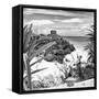 ¡Viva Mexico! Square Collection - Tulum Ruins along Caribbean Coastline with Iguana II-Philippe Hugonnard-Framed Stretched Canvas