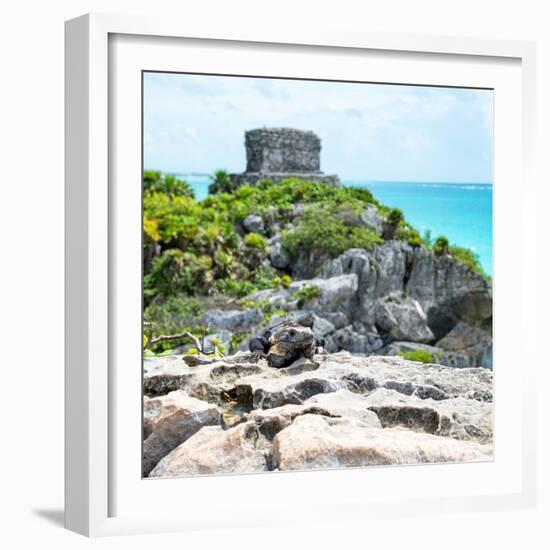 ¡Viva Mexico! Square Collection - Tulum Ruins along Caribbean Coastline with Iguana III-Philippe Hugonnard-Framed Photographic Print