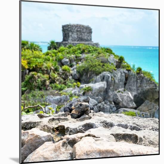 ¡Viva Mexico! Square Collection - Tulum Ruins along Caribbean Coastline with Iguana III-Philippe Hugonnard-Mounted Photographic Print