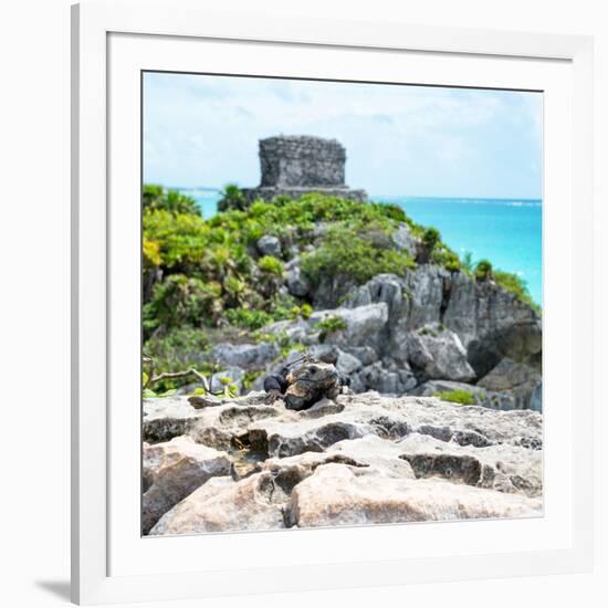 ¡Viva Mexico! Square Collection - Tulum Ruins along Caribbean Coastline with Iguana III-Philippe Hugonnard-Framed Photographic Print