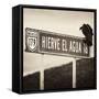 ¡Viva Mexico! Square Collection - Vulture II-Philippe Hugonnard-Framed Stretched Canvas