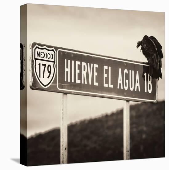 ¡Viva Mexico! Square Collection - Vulture II-Philippe Hugonnard-Stretched Canvas