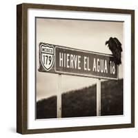 ¡Viva Mexico! Square Collection - Vulture II-Philippe Hugonnard-Framed Photographic Print