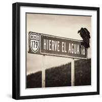 ¡Viva Mexico! Square Collection - Vulture II-Philippe Hugonnard-Framed Photographic Print