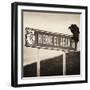 ¡Viva Mexico! Square Collection - Vulture II-Philippe Hugonnard-Framed Photographic Print