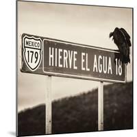 ¡Viva Mexico! Square Collection - Vulture II-Philippe Hugonnard-Mounted Photographic Print