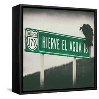 ¡Viva Mexico! Square Collection - Vulture III-Philippe Hugonnard-Framed Stretched Canvas