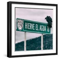 ¡Viva Mexico! Square Collection - Vulture-Philippe Hugonnard-Framed Photographic Print