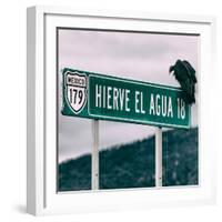 ¡Viva Mexico! Square Collection - Vulture-Philippe Hugonnard-Framed Photographic Print