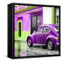 ¡Viva Mexico! Square Collection - VW Beetle and Purple Wall-Philippe Hugonnard-Framed Stretched Canvas