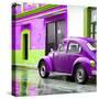 ¡Viva Mexico! Square Collection - VW Beetle and Purple Wall-Philippe Hugonnard-Stretched Canvas