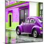¡Viva Mexico! Square Collection - VW Beetle and Purple Wall-Philippe Hugonnard-Mounted Photographic Print