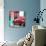 ¡Viva Mexico! Square Collection - VW Beetle and Red Wall II-Philippe Hugonnard-Photographic Print displayed on a wall