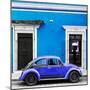 ¡Viva Mexico! Square Collection - VW Beetle Car - Blue & Purple-Philippe Hugonnard-Mounted Photographic Print