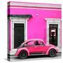 ¡Viva Mexico! Square Collection - VW Beetle Car - Deep & Hot Pink-Philippe Hugonnard-Stretched Canvas