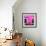 ¡Viva Mexico! Square Collection - VW Beetle Car - Deep & Hot Pink-Philippe Hugonnard-Framed Photographic Print displayed on a wall