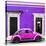 ¡Viva Mexico! Square Collection - VW Beetle Car - Purple & Deep Pink-Philippe Hugonnard-Stretched Canvas