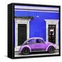 ¡Viva Mexico! Square Collection - VW Beetle Car - Royal Blue & Purple-Philippe Hugonnard-Framed Stretched Canvas