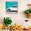 ¡Viva Mexico! Square Collection - White VW Beetle Car & Turquoise Wall-Philippe Hugonnard-Photographic Print displayed on a wall