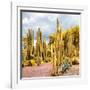 ¡Viva Mexico! Square Collection - Yellow Cardon Cactus II-Philippe Hugonnard-Framed Photographic Print