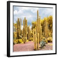 ¡Viva Mexico! Square Collection - Yellow Cardon Cactus II-Philippe Hugonnard-Framed Photographic Print