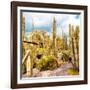 ¡Viva Mexico! Square Collection - Yellow Cardon Cactus V-Philippe Hugonnard-Framed Photographic Print