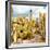 ¡Viva Mexico! Square Collection - Yellow Cardon Cactus V-Philippe Hugonnard-Framed Photographic Print