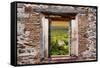 ¡Viva Mexico! Window View - Calakmul in the Mexican Jungle at Sunset-Philippe Hugonnard-Framed Stretched Canvas