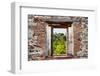 ¡Viva Mexico! Window View - Calakmul in the Mexican Jungle-Philippe Hugonnard-Framed Photographic Print