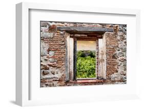 ¡Viva Mexico! Window View - Ruins of the ancient Mayan City of Calakmul-Philippe Hugonnard-Framed Photographic Print