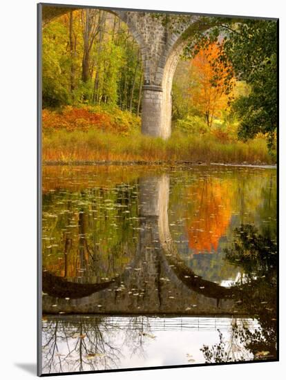 Vivarais Railway Stop and Bridge, Ardeche, France-Lisa S. Engelbrecht-Mounted Photographic Print