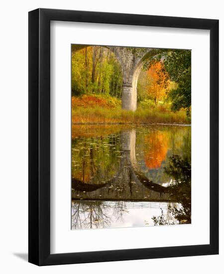 Vivarais Railway Stop and Bridge, Ardeche, France-Lisa S. Engelbrecht-Framed Premium Photographic Print