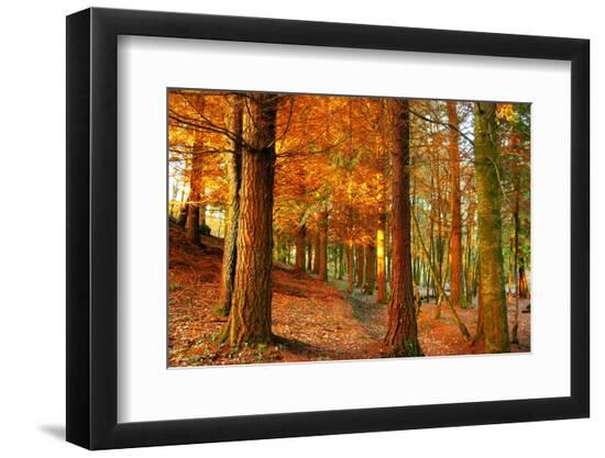 Premium Photographic Print, , large